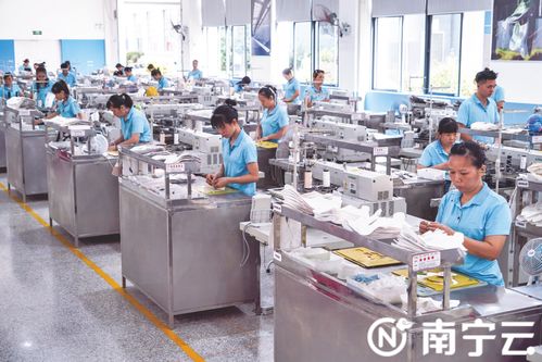 南宁招大引强促提质，补链扩群强首府