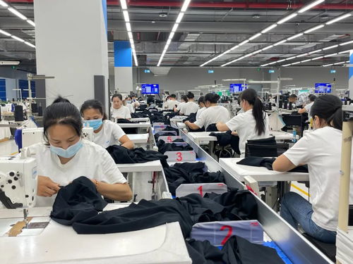 南宁城市活力涌动 多元招工活动助推就业市场繁荣