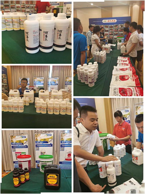 根喜乐新品发布暨丛枝菌根真菌南宁上市会圆满成功，赋能绿色农业新篇章